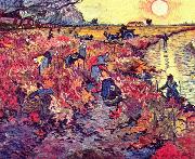 Vincent Van Gogh Die roten Weingarten France oil painting artist